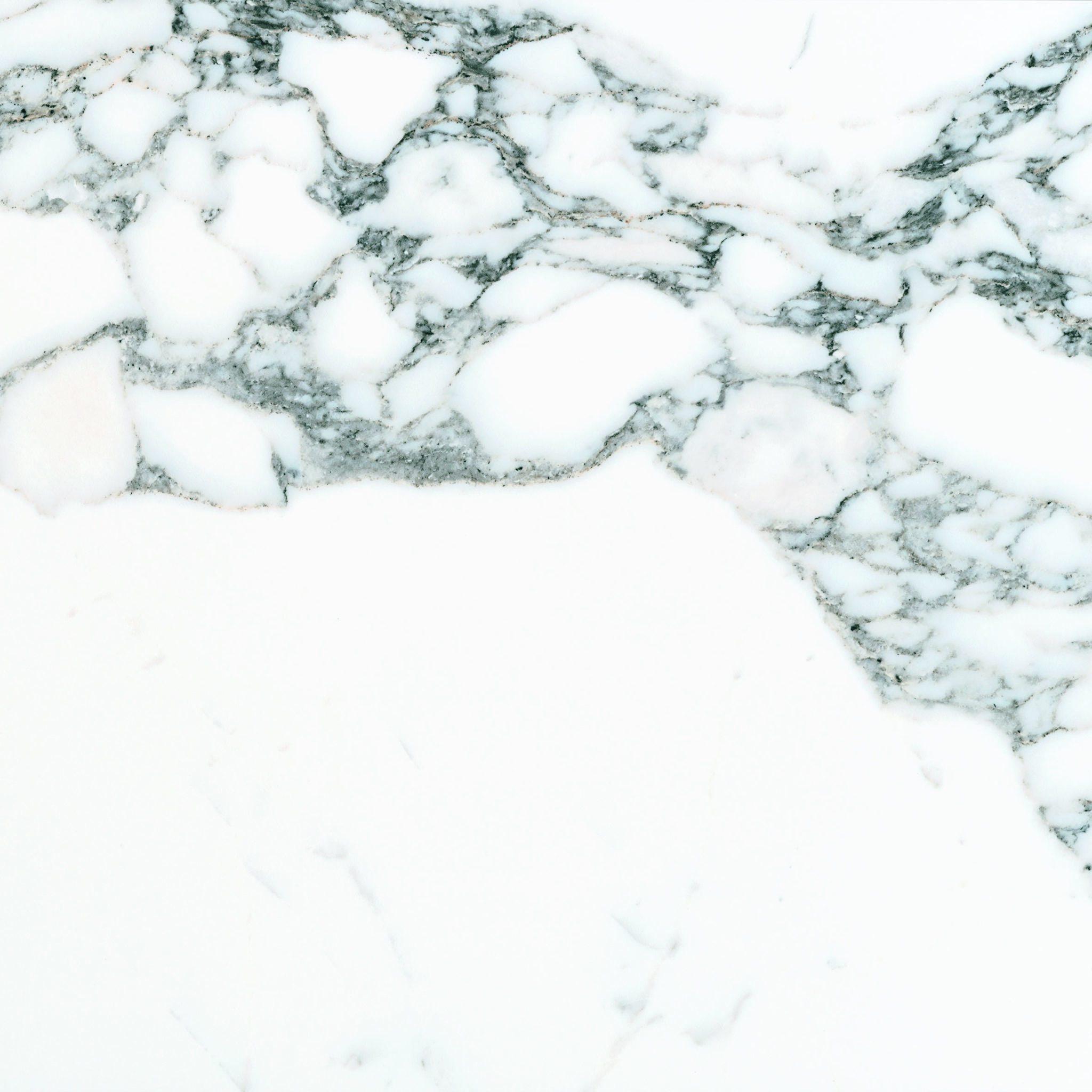 New Arabescato Marble Porcelain Tile | M2 Tile & Stone